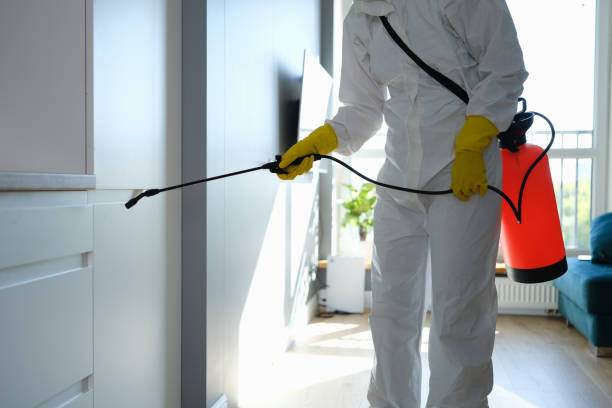 Best Insurance-Related Mold Remediation in Boise City, OK