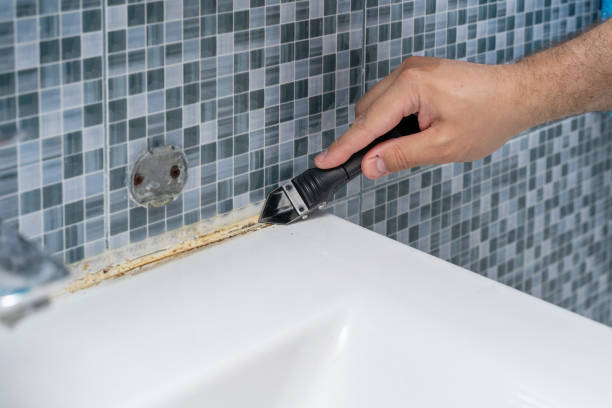 Best DIY Mold Remediation Support Services in Boise City, OK
